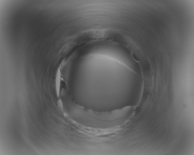 X0000054470035200508122015