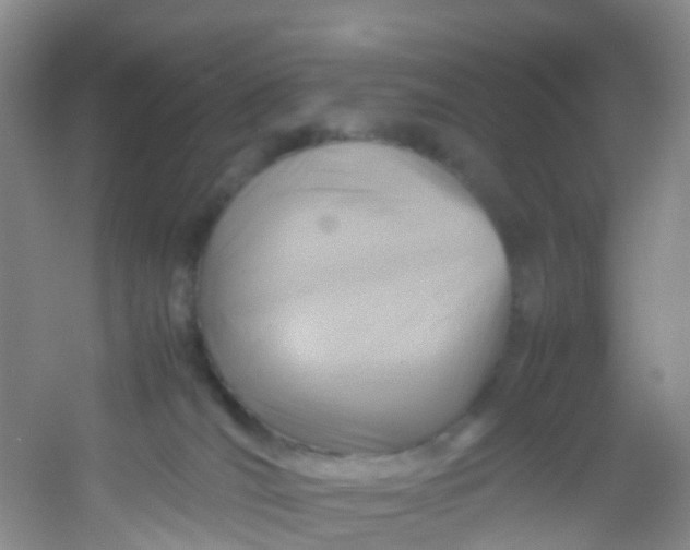 X0000054470036200508122015