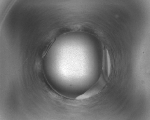 X0000054470037200508122015