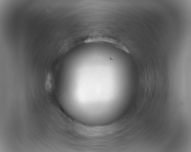 X0000054470038200508122015