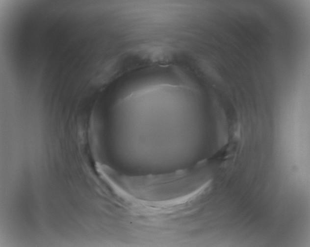 X0000054470039200508122015