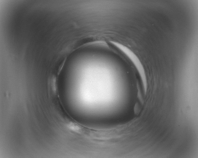 X0000054470041200508122015