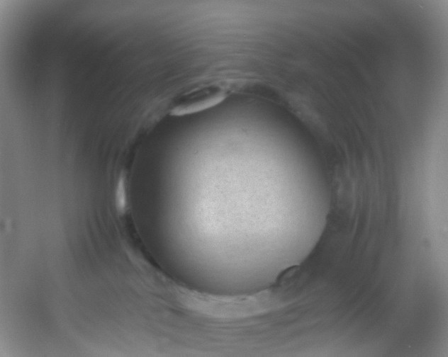 X0000054470042200508122015