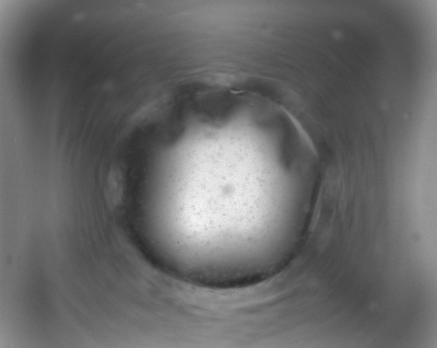 X0000054470043200508122015