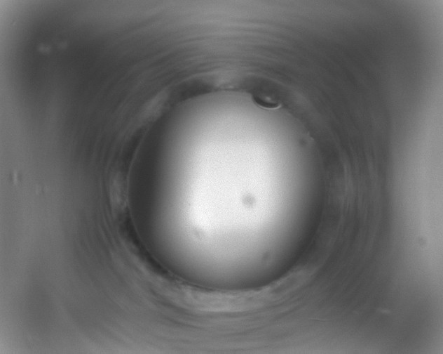 X0000054470044200508122015