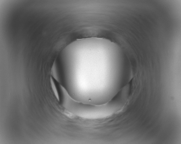 X0000054470045200508122015