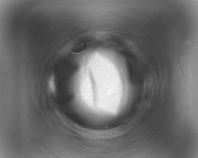 X0000054470046200508122015