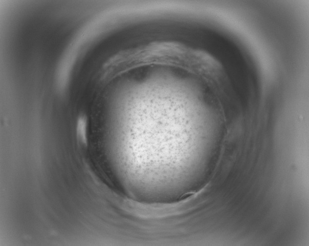 X0000054470047200508122015