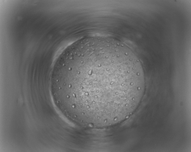 X0000054470049200508122014