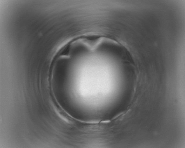 X0000054470050200508122014