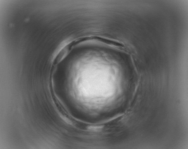 X0000054470051200508122014