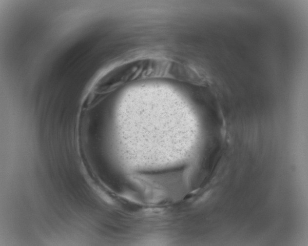 X0000054470052200508122014