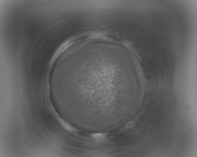 X0000054470053200508122014