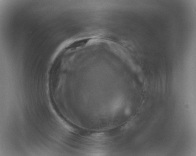 X0000054470054200508122014