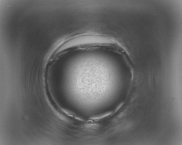 X0000054470055200508122014