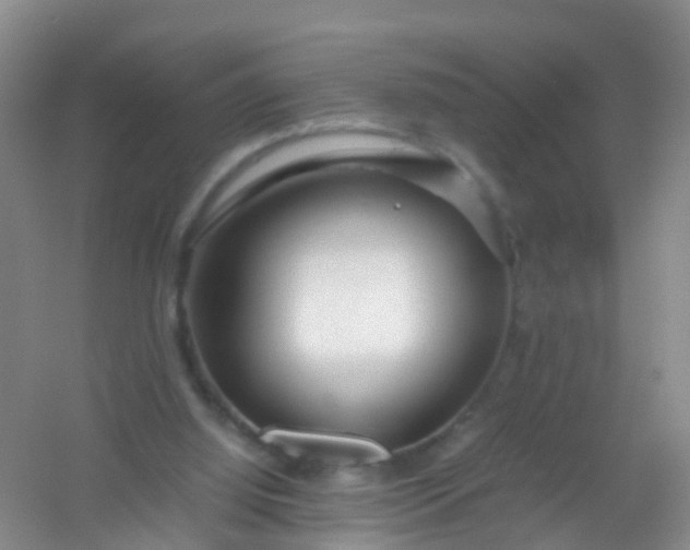 X0000054470060200508122014