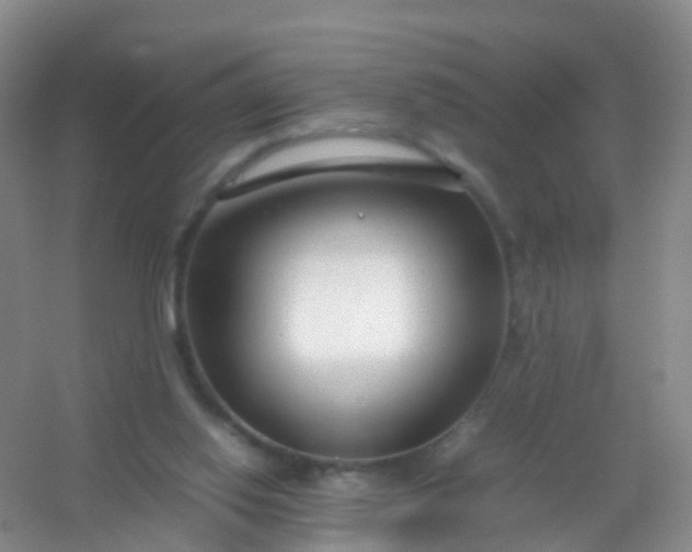 X0000054470062200508122014