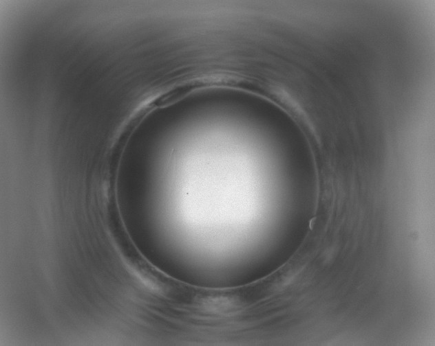 X0000054470063200508122014