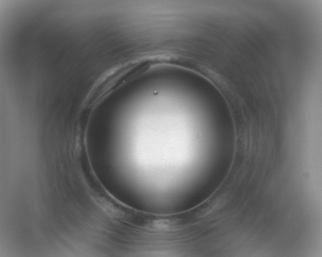 X0000054470064200508122014