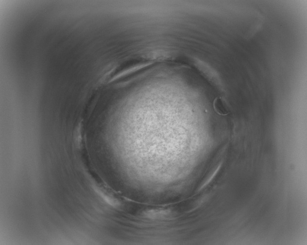 X0000054470065200508122014