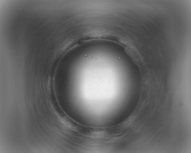 X0000054470066200508122014