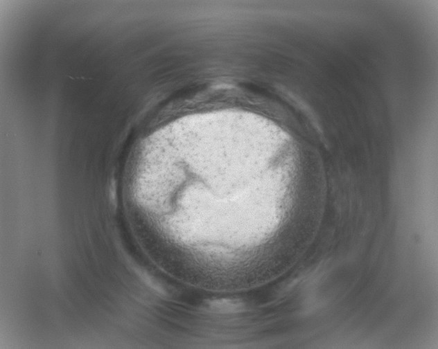 X0000054470067200508122014