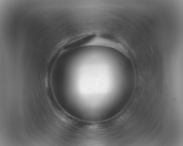 X0000054470068200508122014