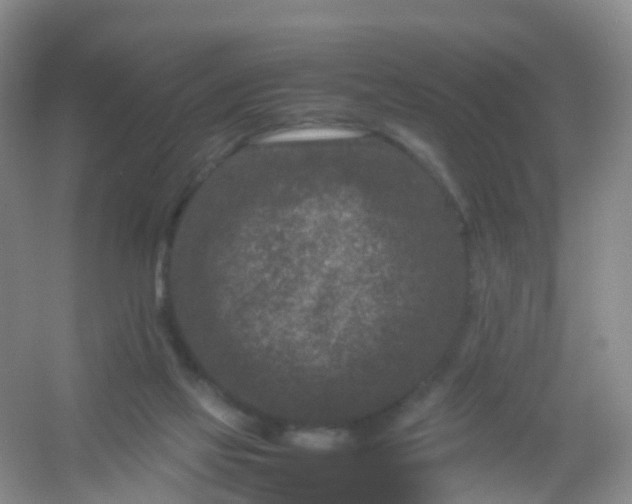 X0000054470069200508122014