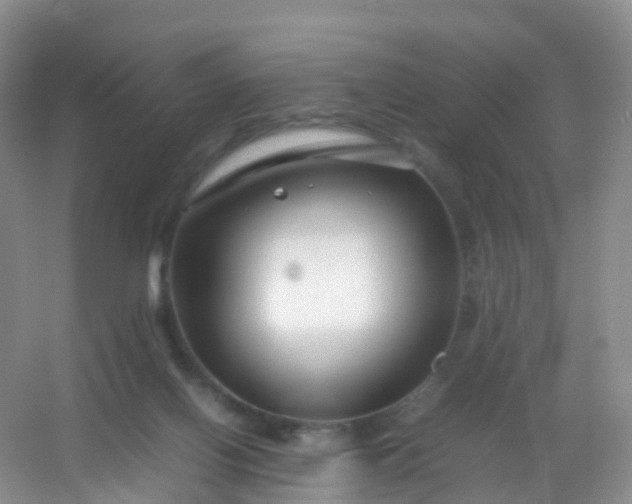 X0000054470070200508122014