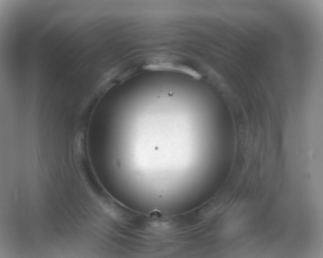 X0000054470071200508122014