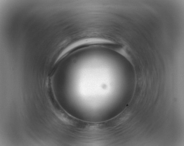 X0000054470072200508122014