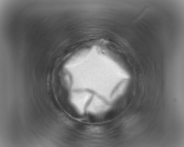 X0000054470073200508122014