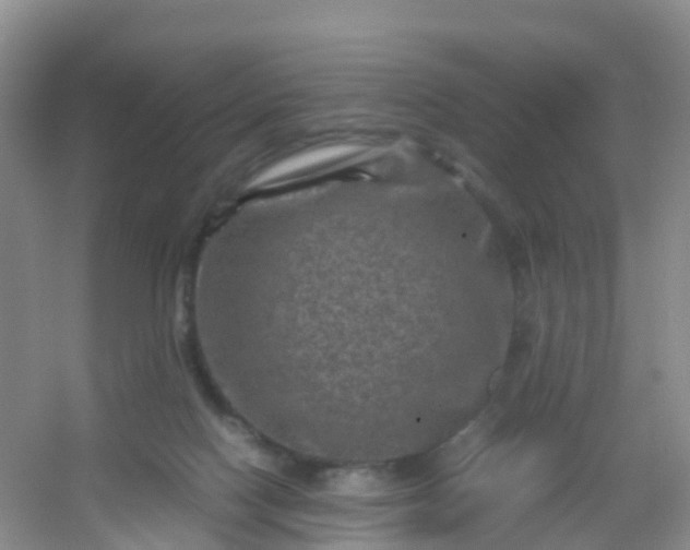 X0000054470074200508122014