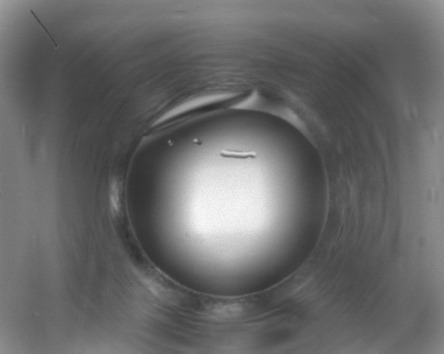 X0000054470075200508122014