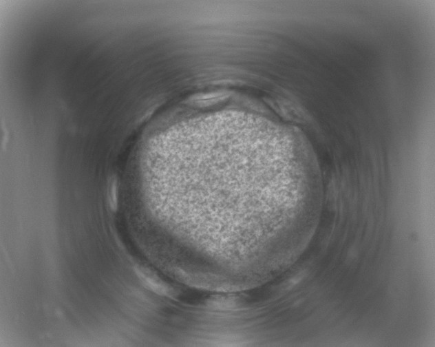 X0000054470076200508122014