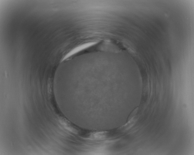 X0000054470078200508122014