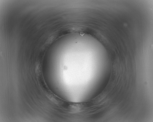 X0000054470079200508122014