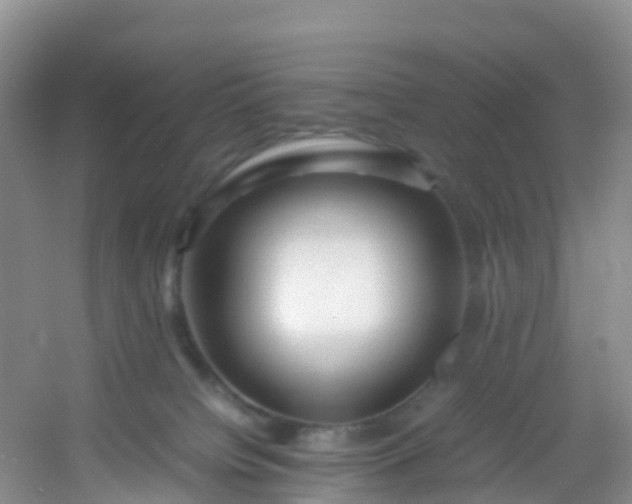 X0000054470084200508122015