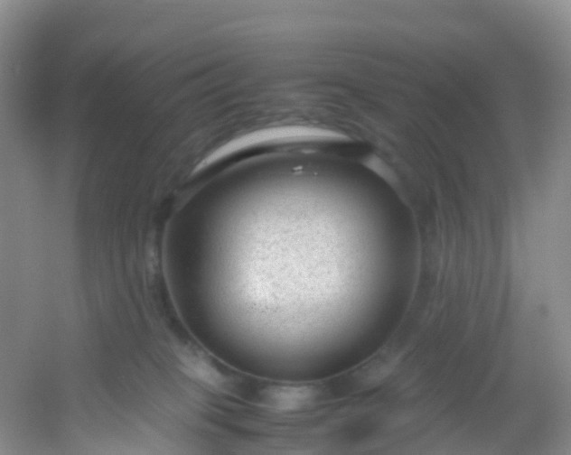 X0000054470085200508122015