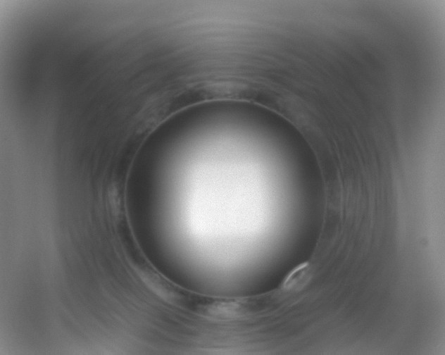 X0000054470086200508122015