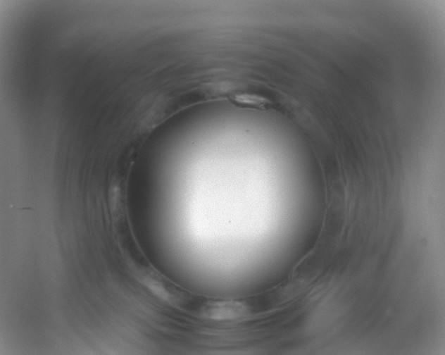 X0000054470087200508122015