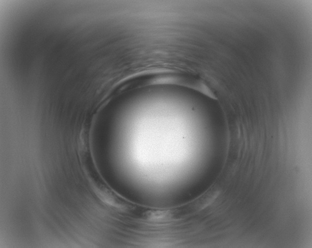 X0000054470088200508122015