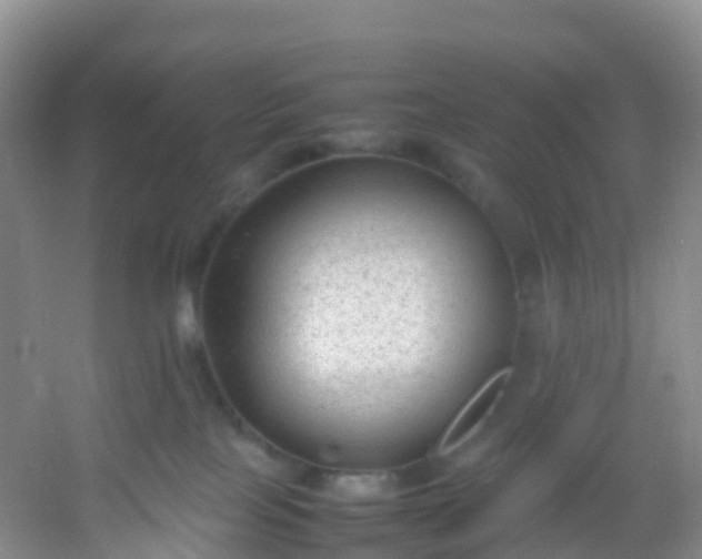 X0000054470089200508122015