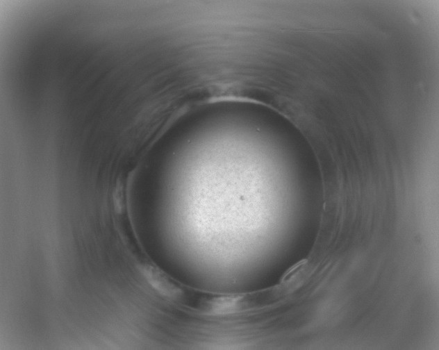 X0000054470090200508122015