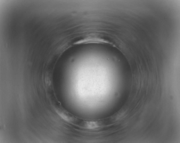 X0000054470091200508122015