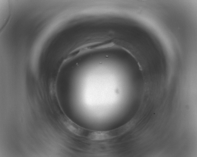 X0000054470093200508122015