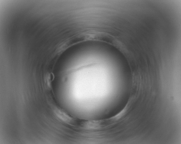 X0000054470094200508122015