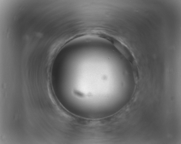 X0000054470097200508122014