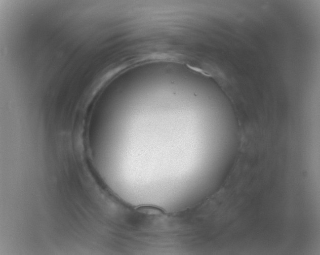 X0000054470098200508122014