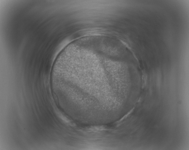 X0000054470099200508122014